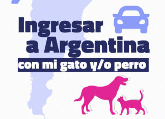 Recomendaciones para el combo de fin de año