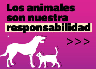 Los animales son nuestra responsabilidad
