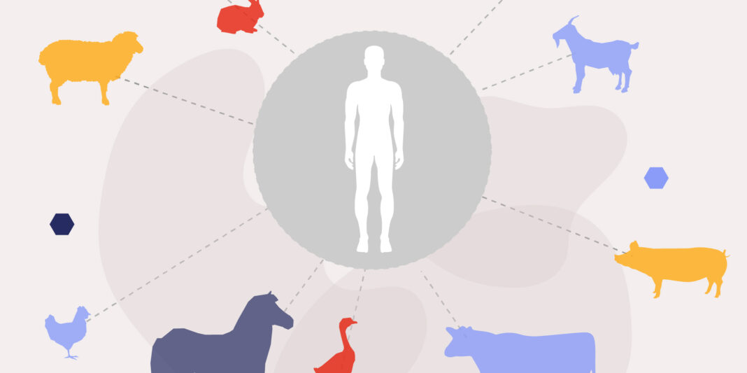 6-julio-zoonosis-B-copia-100-1068x533