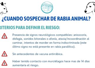 ¿Cómo actuar ante la sospecha clìnica de un caso de rabia animal?