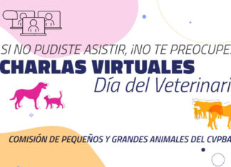 Accedé a las grabaciones de las Charlas virtuales por el Día del Veterinario