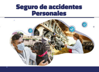 Seguro de accidentes personales: Ampliá tu beneficio