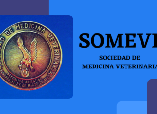 125° aniversario de Someve