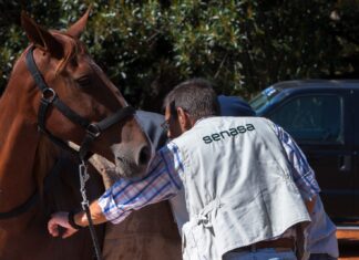 Enfermedades de los animales cuya notificación promueve su detección temprana