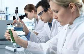 Concurso para Beca de investigación