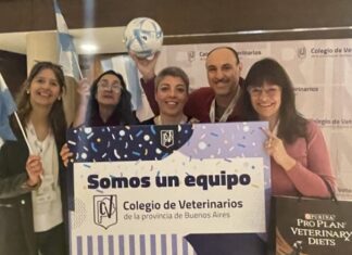 Somos un equipo