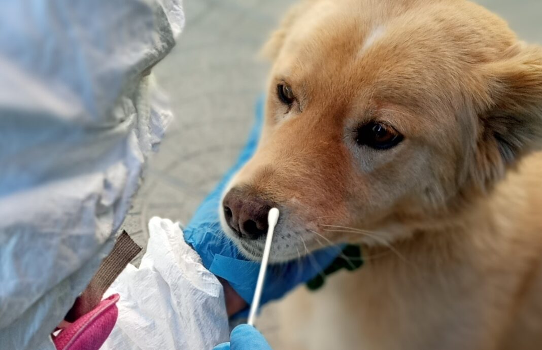 Resultados 2° Concurso Fotográfico: “Salud veterinaria, salud pública”.