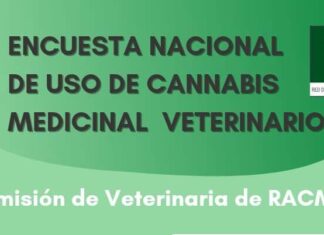 Encuesta nacional sobre uso de cannabis medicinal en animales
