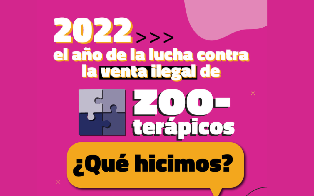 foto slider cvpba