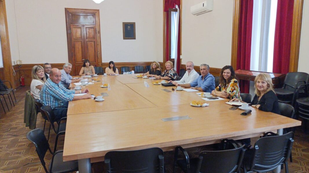 Participamos de la Reunión del Consejo Consultivo Profesional de la UNLP.