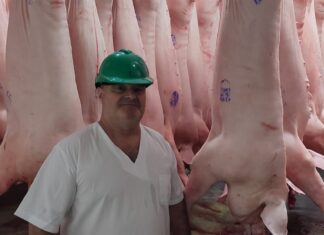 Un aporte de colega a colega