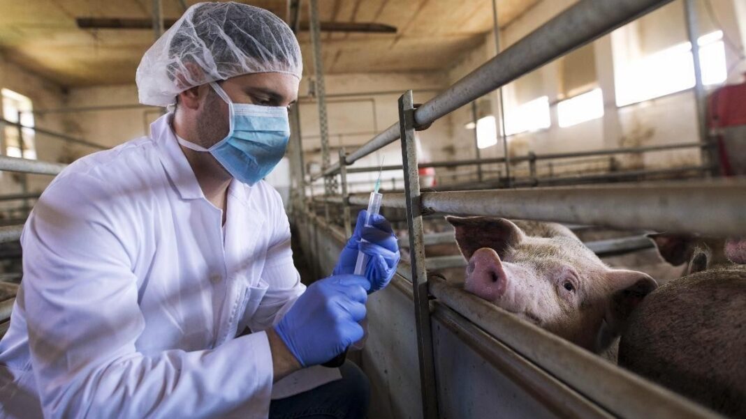 20210624110004sostenibilidadalimentaria Día Mundial de las Zoonosis