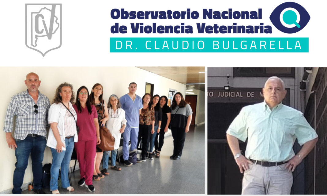 011-juiciooral-bungarella-feed