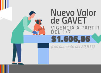 Actualización GAVET