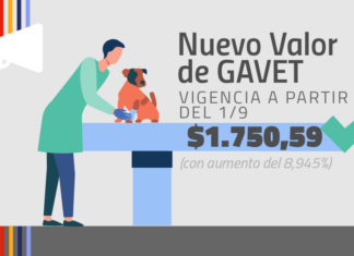 Actualización Gavet