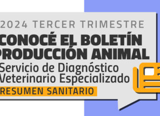 Boletin Produccion Animal – 2024 Tercer Trimestre