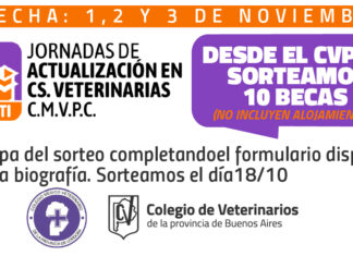Sorteo 10 becas – Tanti CMVPC