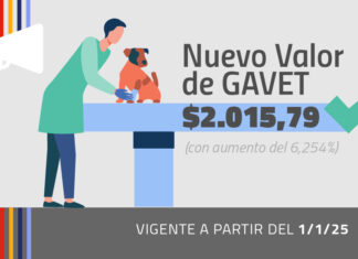 Actualizacion de gavet | Enero 2025