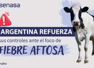 Argentina refuerza sus controles ante el foco de fiebre aftosa en Alemania