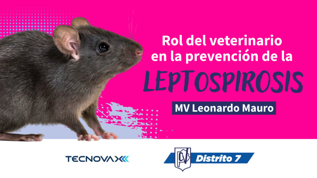 LEPTOSPIROSIS_Mesa de trabajo 1