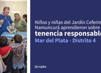 Aprender también es jugar, preguntar y compartir