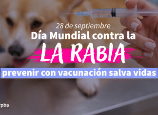 Día Mundial contra la Rabia: prevenir con vacunación salva vidas