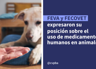 FECOVET y FEVA expresaron su posición sobre el uso de medicamentos humanos en animales