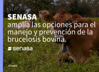 El SENASA amplía el uso de vacunas para el control de la brucelosis bovina
