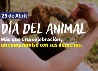 Día del Animal: Compromiso ético y el desafío de una convivencia basada en derechos