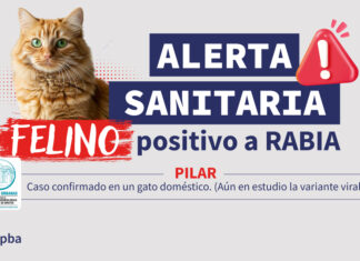 Confirman un caso positivo de rabia en un felino en el partido de Pilar