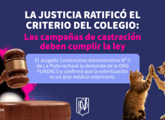 Fallo Judicial Definitivo – Caso FUNDACO