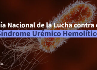 Día Nacional de la Lucha contra el SUH: qué es el Síndrome Urémico Hemolítico y cómo prevenirlo en el hogar