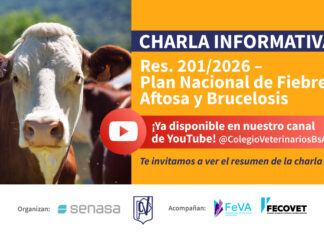 Resumen: Aplicación de la Resolución N° 201/2026