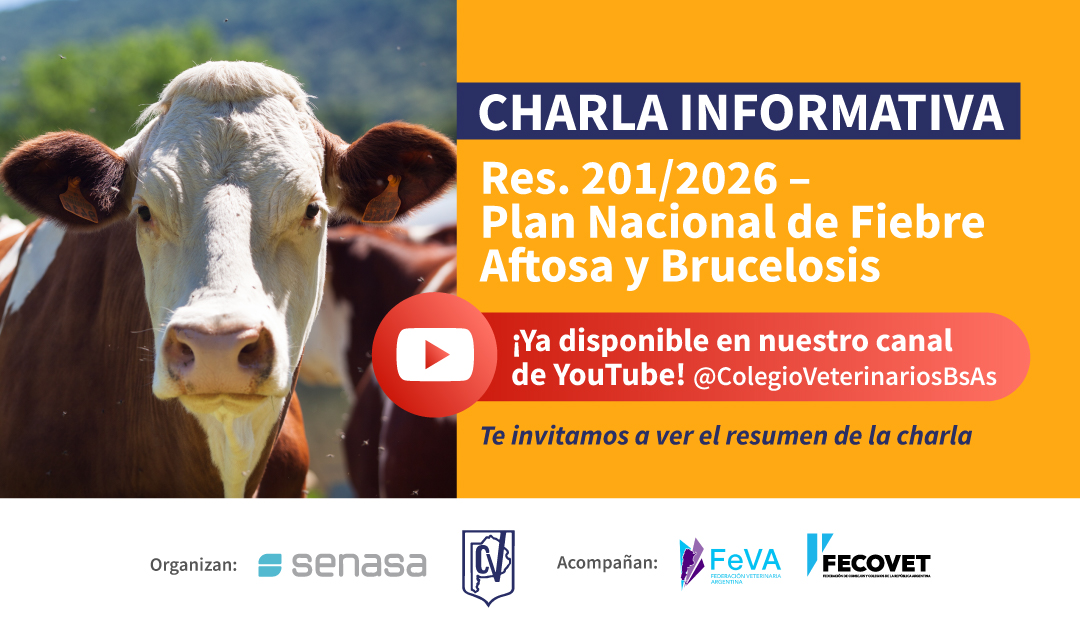 Resumen: Aplicación de la Resolución N° 201/2026